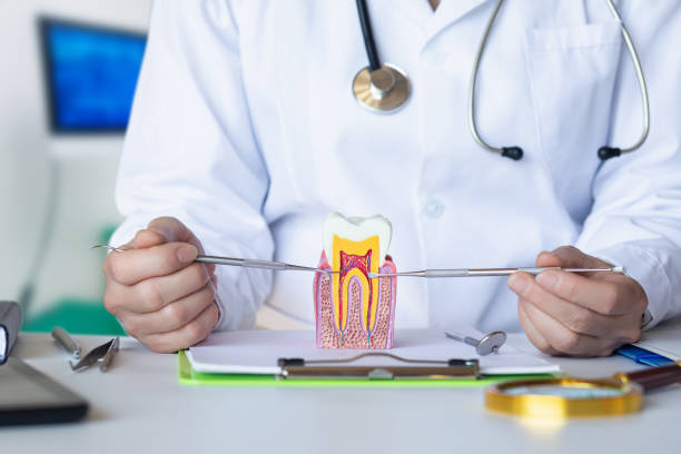 Best Urgent Dental Care for Toothache in Oakland, IA